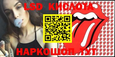 индика Обь