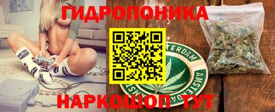 индика Обь