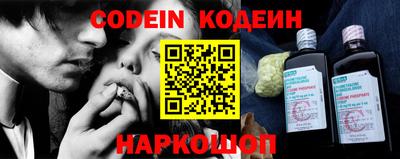 индика Обь