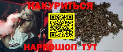 индика Обь
