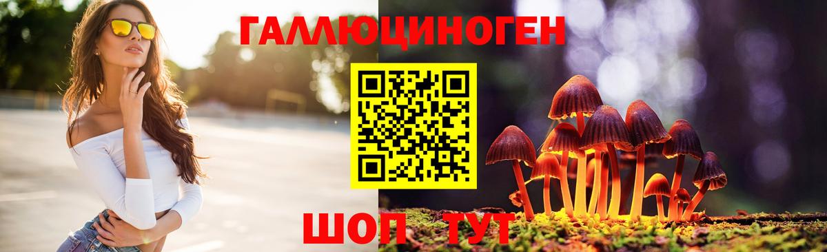 Сатка  Галлюциногенные грибы GOLDEN TEACHER  Вход с VPN 